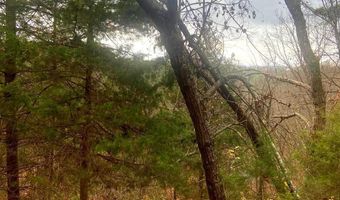 SPITZ Lane, Basye, VA 22810