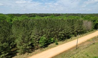 2316 Traci Loop, Bogue Chitto, MS 39629