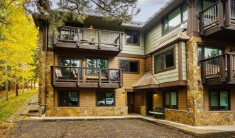 650 S Monarch St 9, Aspen, CO 81611