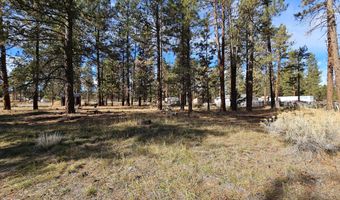 5117 Seagull Dr, Bonanza, OR 97623