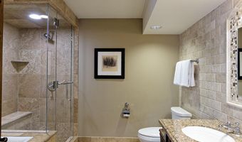 415 E Dean St Unit 17 Weeks 5 & 6 St, Aspen, CO 81611