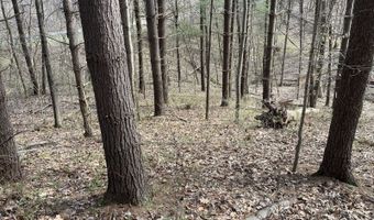 Strouds Run Rd, Athens, OH 45701
