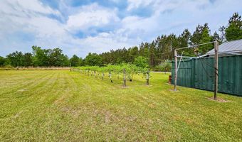 2986 Old Buckhead Rd, Branchville, SC 29432