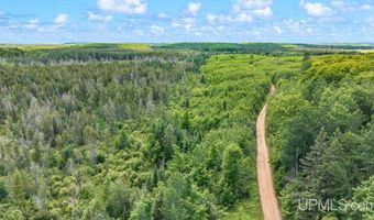 1188 NW S Ross Wells Rd, Arnold, MI 49819