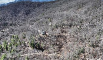 11 Taryn Trce 16, Barnardsville, NC 28709