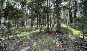 Lot 577 El Camino Real, Angel Fire, NM 87710