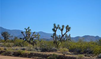 2641 S Javelina Rd, Yucca, AZ 86438