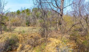 Puppy Creek, Amherst, VA 24521