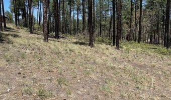 N2122, Alpine, AZ 85920