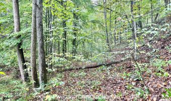 Jesse Run Rd, Arnoldsburg, WV 25234
