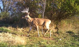 189 Th St, Albia, IA 52531