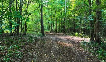 Tbd Airport Rd, Bassett, VA 24055