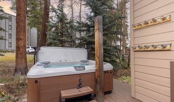 114 PARK FOREST Dr, Breckenridge, CO 80424