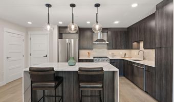85 Kodiak Dr 320, Basalt, CO 81621