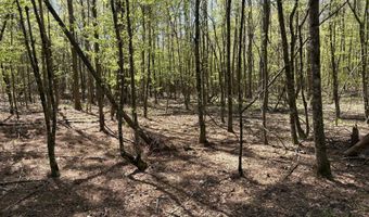 SW Auburn Drive, Bogue Chitto, MS 39629