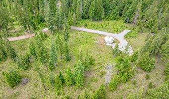 317 Treetop Bluff Ln, Bonners Ferry, ID 83805