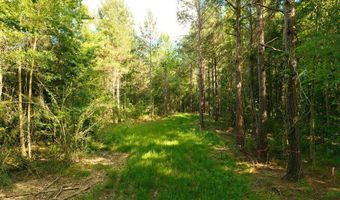 Trickhambridge Road lot 7, Brandon, MS 39042