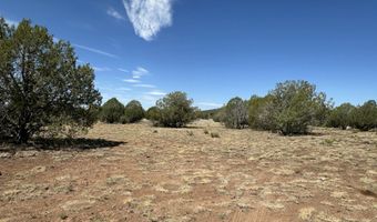 3160 W Mesa Dr, Ash Fork, AZ 86046