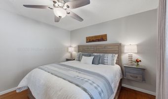 447 COUNTY ROAD 4028, Arley, AL 35541