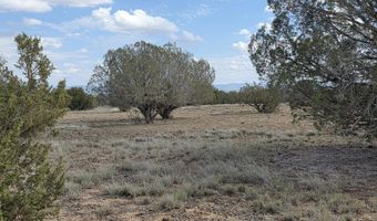 64 Antelope Run, Ash Fork, AZ 86320