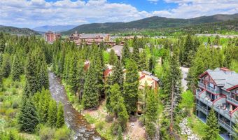 805 Columbine Rd 102, Breckenridge, CO 80424