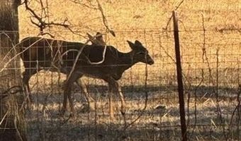 415347 E 1912 Rd, Antlers, OK 74523