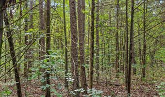 12706 Cranfield Rd, Birchwood, TN 37308