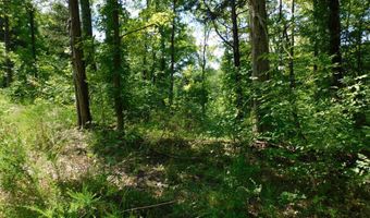 98 63 AC Pointer Rd, Alton, VA 24520