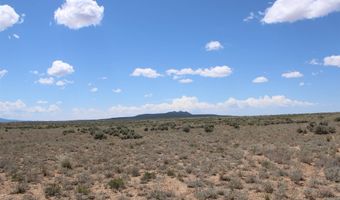 Fremont, Carson, NM 87517
