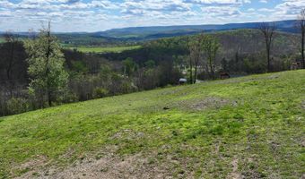 258 Lovely Rd, Alum Bank, PA 15521