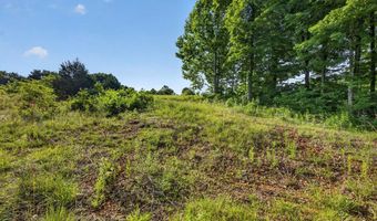 2 26 AC Hidden Cove Ln Lot 1, Allons, TN 38541