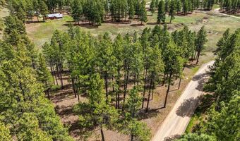 841 Beaver Creek Dr, Bayfield, CO 81122