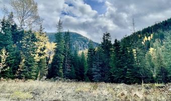 1728 Dry Creek Rd, Clark Fork, ID 83811