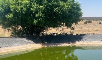 Hc 65 35100 HWY 180A, Concho, AZ 85924