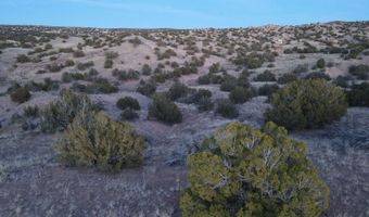 Fort Defina Road, Abiquiu, NM 87548