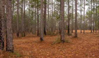 001 Old Stage Rd, Atmore, AL 36502