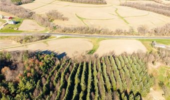 State Road 95 lot 2, Arcadia, WI 54612