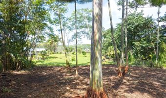 11 Th Ave, Keaau, HI 96749
