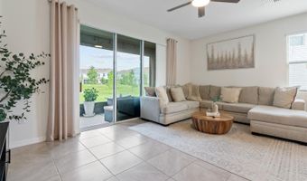 355 MANGROVE SHADE Cir, Apollo Beach, FL 33572