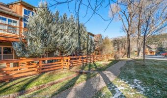 536 Evans Ct, Basalt, CO 81621