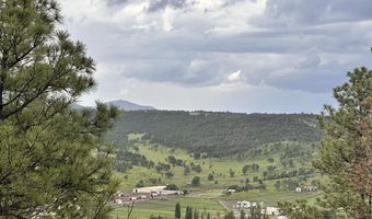243 Deer Park Dr Lot 115, Alto, NM 88312
