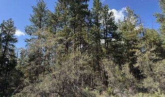 Thunder Bear Road, Bonanza, OR 97623