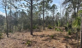 NW County Road 236, Bell, FL 32619