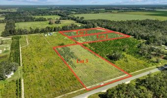 Lot 1 50th Ave, Bell, FL 32619