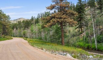 1025 Crystal Mountain Rd, Bellvue, CO 80512