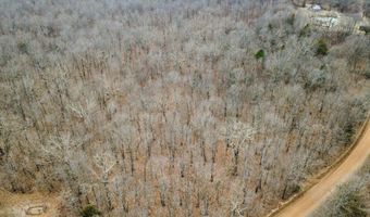 County Road 302, Alton, MO 65606