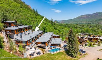 809 S Aspen St 8, Aspen, CO 81611