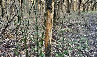 0002 CR-290, Asbury, MO 64832