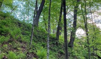 N3953-89 Bear Pen Road, Arkansaw, WI 54721