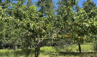 2447 Turner Hill Rd, Bonners Ferry, ID 83805